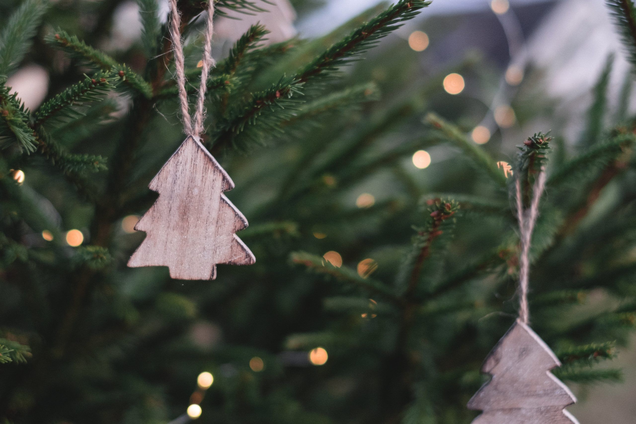 Plastic-free Christmas tree decorations