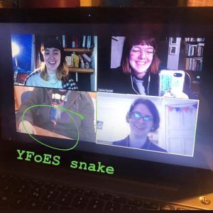 Photograph of a computer screen showing a Zoom meeting of four people, one of whom has a small snake sneaking out of the front of her dungarees.