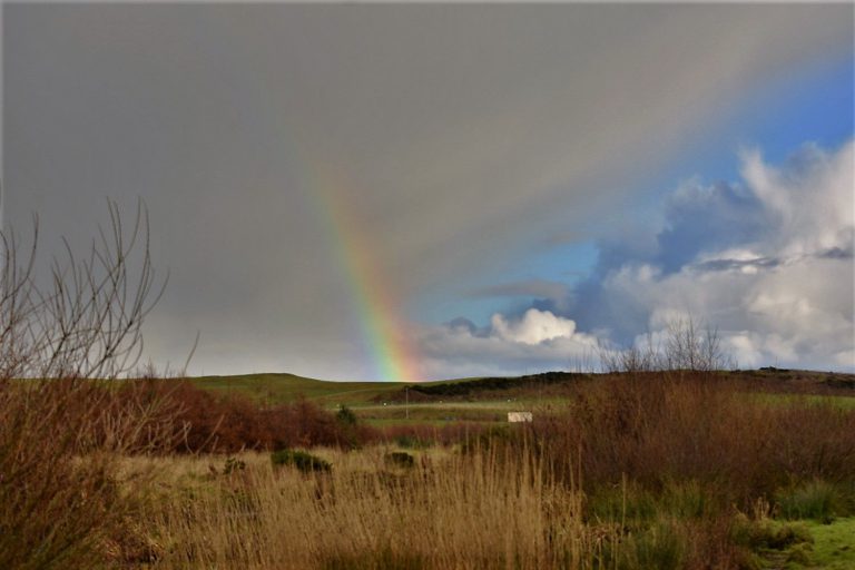 Image of the park with a rainbow in the centre, by Carol WIil