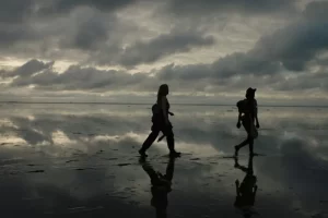 two people walking across a beach at dusk